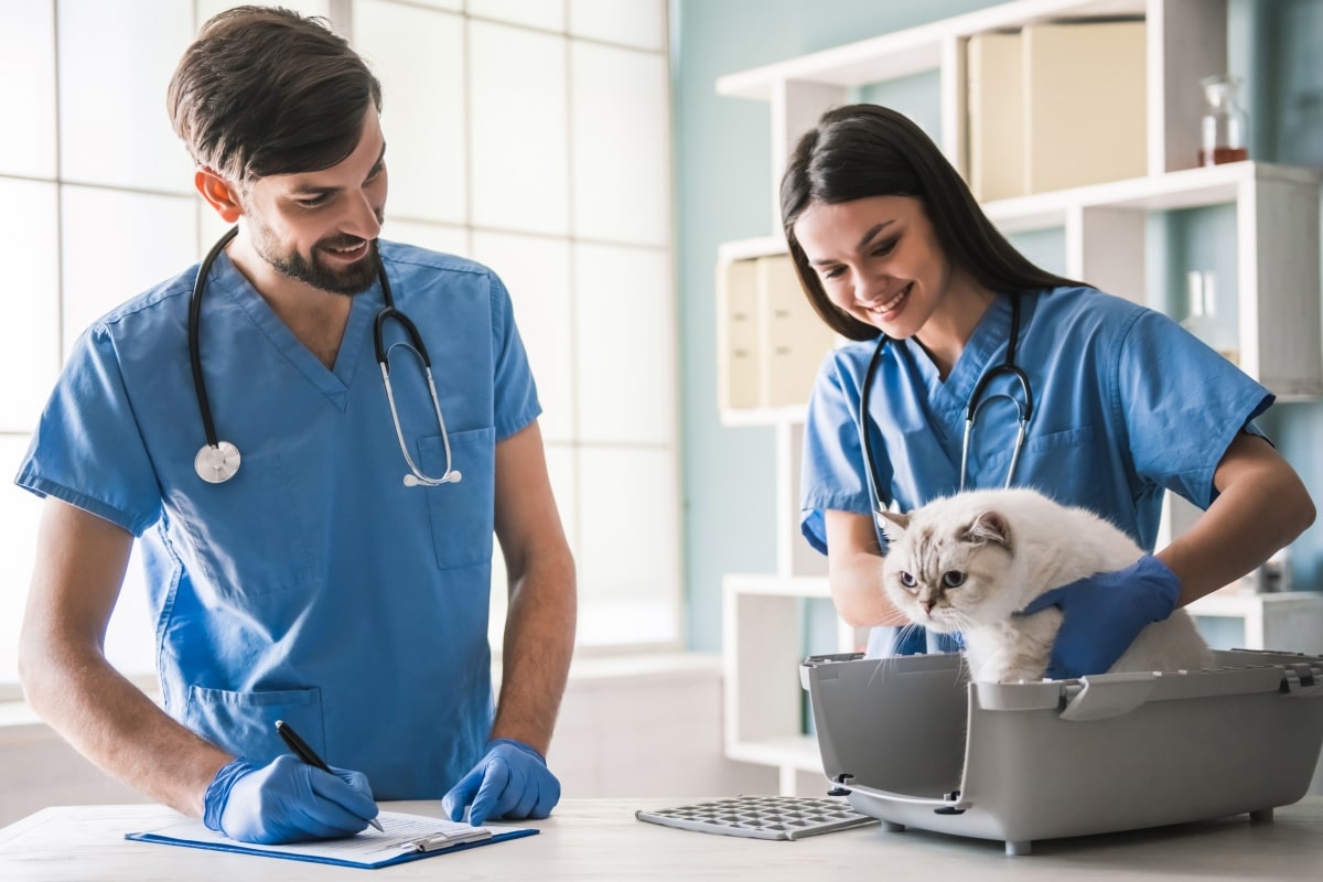 pet care professional insurance