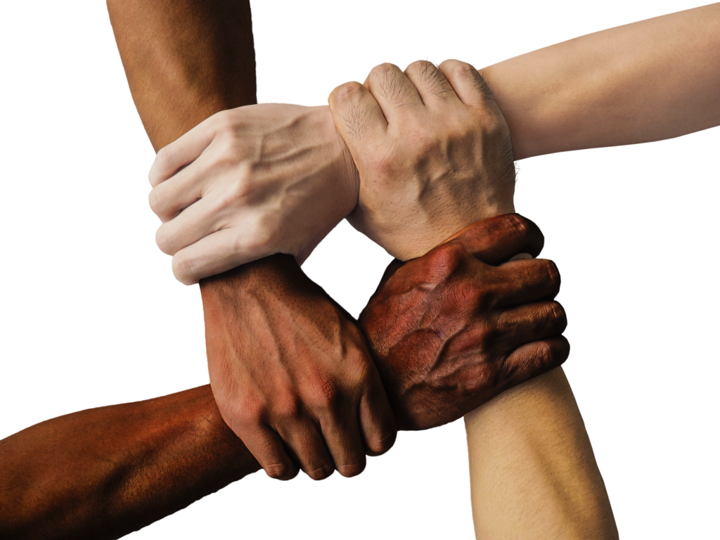 mult-iracial hands holding each other in unity